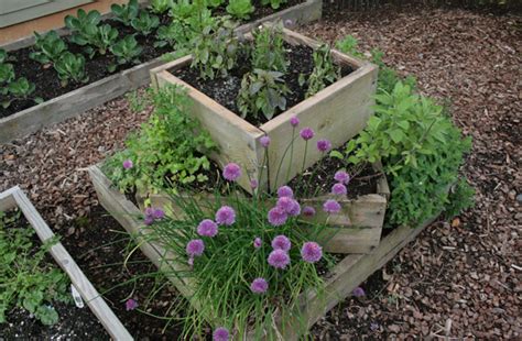 Herbs like rosemary are what bring meals to life, and you only need a few sprigs or leaves to contribute bags of flavor and turn the ordinary… into the extraordinary. Designs in Herb Gardening | Herb Gardening