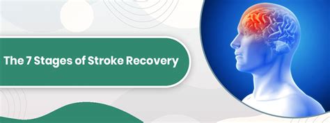 The 7 Stages Of Stroke Recovery Dr Gurneet Singh Sawhney