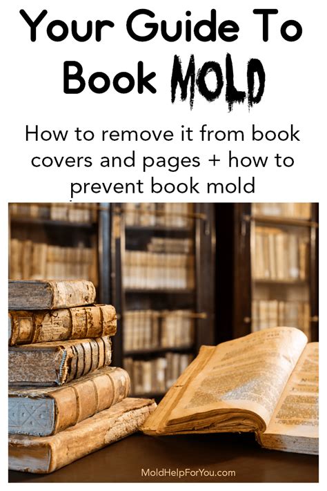 How To Remove Mold From Books Mold Help For You