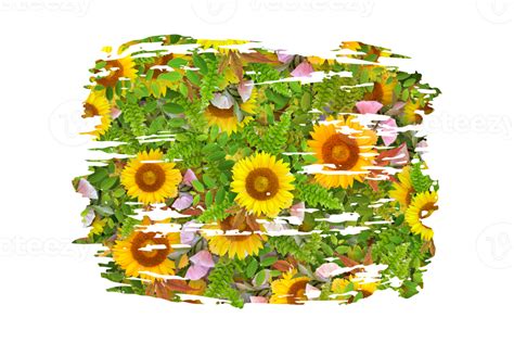 Flower Sublimation Clipart Png 21444136 Png