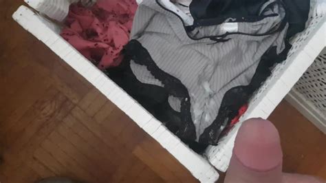 Cum In Sister Panties Drawer She Is Not At Home Pornhub