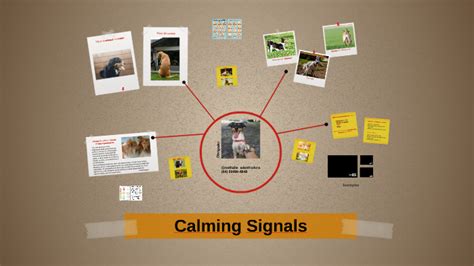 Calming Signals By Nathalie Roque