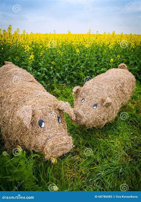 Straw Pig Stock Image Image Of Culture Rural Countryside 68786085
