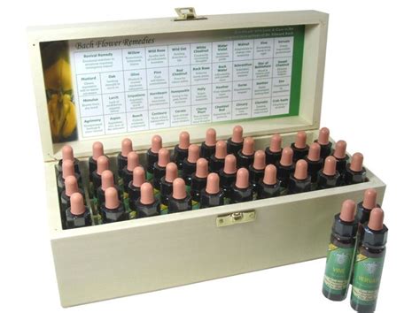 Complete Set Of 38 Bach Flower Remedies Flower Essences With Box Bach