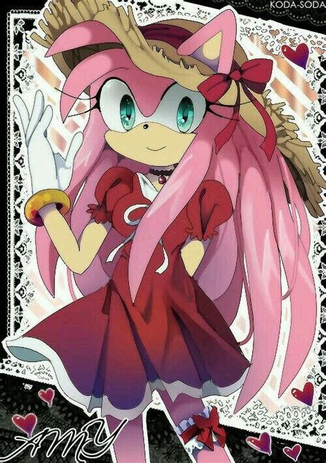 Long Hair Amy Rose Amy The Hedgehog Sonic And Amy