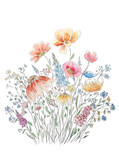Pin By Laura Wise On Watercolors Wildflower Drawing Flower Bouquet