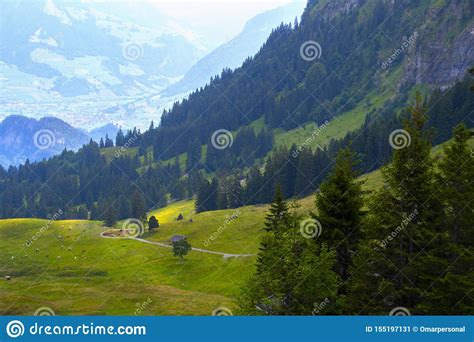 View Of Beautiful Landscape In The Alps With Fresh Green Meadows And