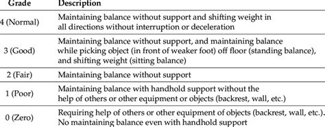 Functional Balance Grades In This Study Download Scientific Diagram