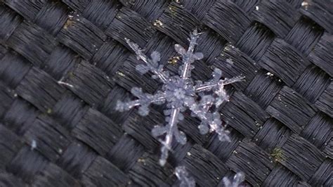 Beautiful Snowflakes Photographed By Bbc Weather Watchers Bbc Weather