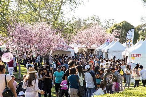 Cherry Blossom Festival In Huntington Beach Cherry Blossom Festival