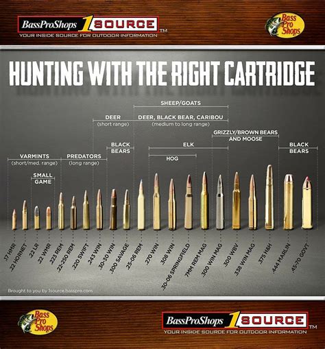 Use This Rifle Caliber Chart To Pick The Right Ammo For Hunting Bass