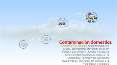 Contaminaci N Domestica By Vickye D Vila On Prezi