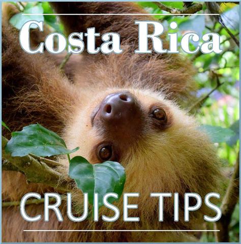 Limón Costa Rica Cruise Port Guide Costa Rica Limon Costa Rica