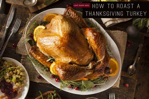 How To Cook A Turkey A Guide To Roasting The Perfect Thanksgiving Bird With Images Roasted