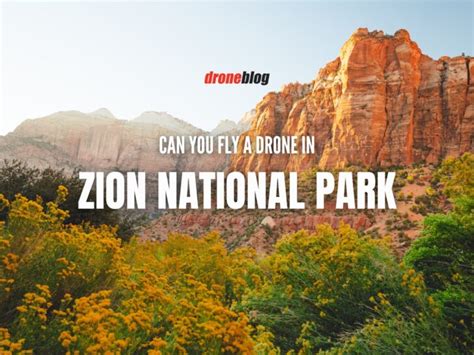 Can You Fly A Drone In Zion National Park Droneblog