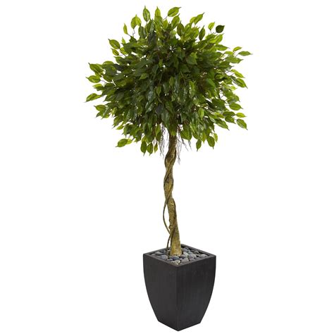 55 Ficus Artificial Tree In Black Wash Planter Uv Resistant Indoor