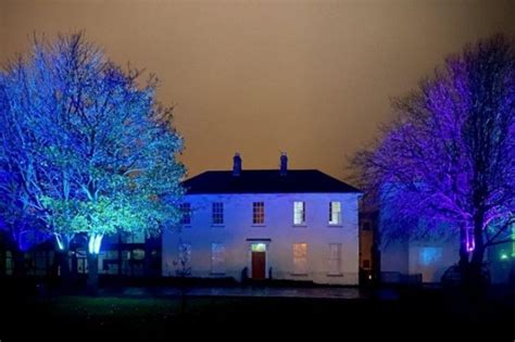 ‘winterlight Treeluminations Shine At Flowerfield Arts Centre This