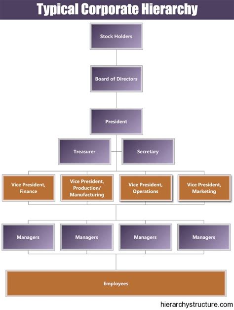 Typical Corporate Hierarchy Corporate Hierarchy