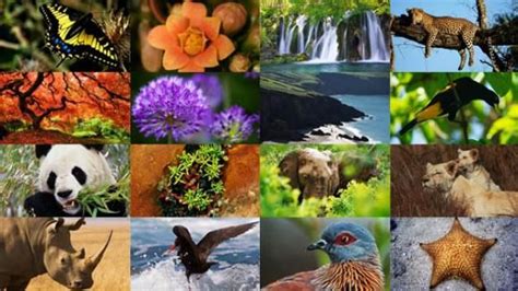 La Diversidad De Ecuador Conservacion De La Biodiversidad La