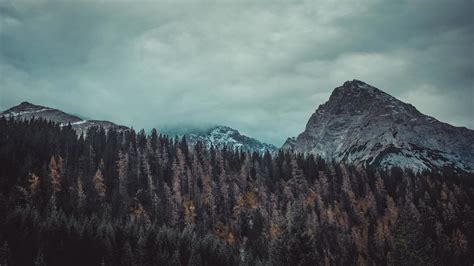 Trees And Mountains 4k Trees Wallpapers Nature Wallpapers