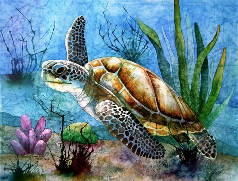 Art Illustration Oceans And Seas Sea Turtle Chelonioidea They Have