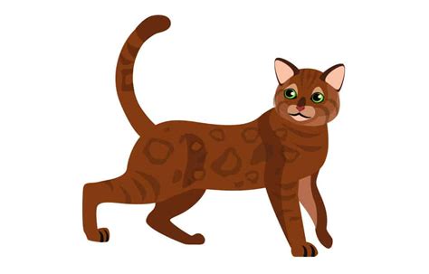 Cantik Gambar Kartun Kucing Comel Gambar Kucing Lucu Imut Dan Paling