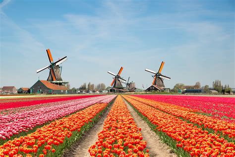 Dutch Tourist Board To Stop Promoting The Netherlands Because Its