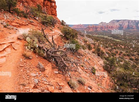 Airport Loop Hiking Trail In Sedona Arizona Famous For Its Vibrant