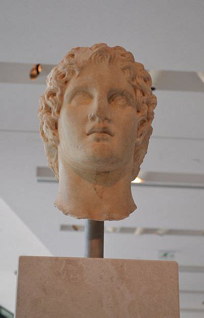 Alexander The Great Head Illustration World History Encyclopedia