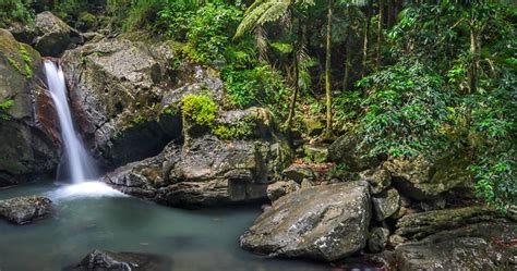 Caribbean Cascades El Yunque Puerto Rico Tropixtraveler