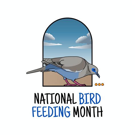 Vector Graphic Of National Bird Feeding Month Good For National Bird