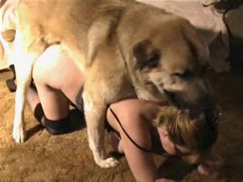 Busty Librarian And Her Doggy Are Having A Good