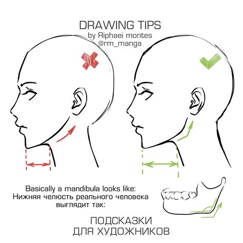 How To Draw A Head From The Side How To Do Thing