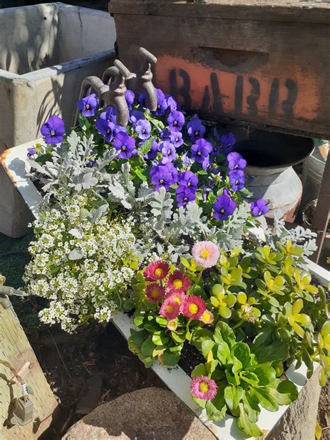 So if you do yank the old tub out, promise me you will think creatively about its next life; Old bathtub turned planter #containergardening in 2020 ...