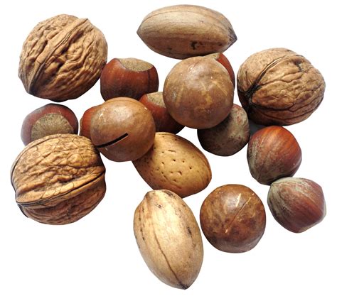 Nut Png Image Purepng Free Transparent Cc0 Png Image Library