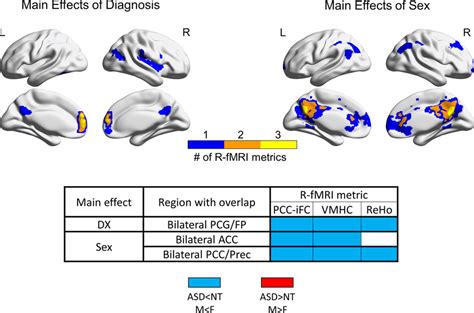 Overlap Across R Fmri Metrics For Main Effects Of Diagnosis And Sex Download Scientific