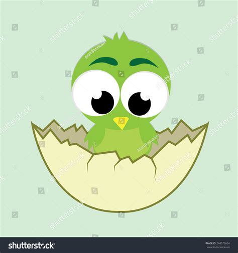 Cute Cartoon Newborn Chick Egg Stock Vector Royalty Free 248575654