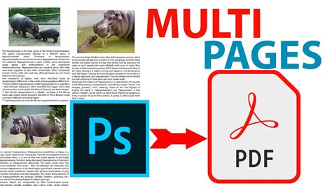 How To Create Multi Pages Pdf Document In Photoshop Cc Youtube