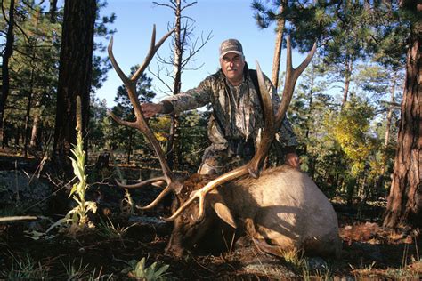 Muzzleloader elk tags are obtained by the statewide drawing for bull elk. 10 Best DIY Elk States for 2014 - Petersen's Bowhunting