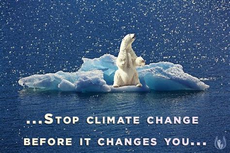 Best Ways To Stop Climate Change Earth Reminder