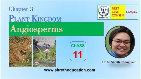 Angiosperms Chapter 3 Class 11 Biology Ncert Neet Cohsem