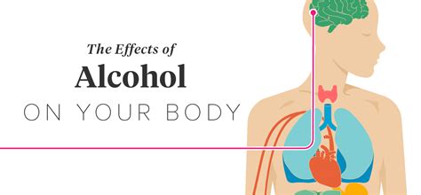 Effects Of Alcohol On Your Body