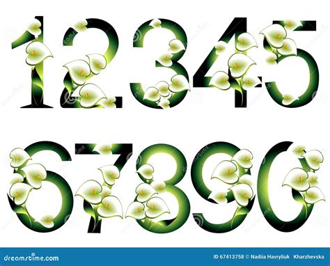 Collection Of Decorative Numbers Stock Vector Illustration Of Line