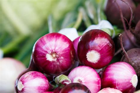 Experts Tips On How You Grow Red Onions | Spalding Bulb
