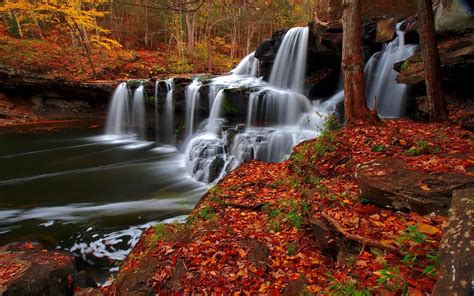 Waterfall In Autumn Forest Hd Wallpaper Background Image 2048x1280