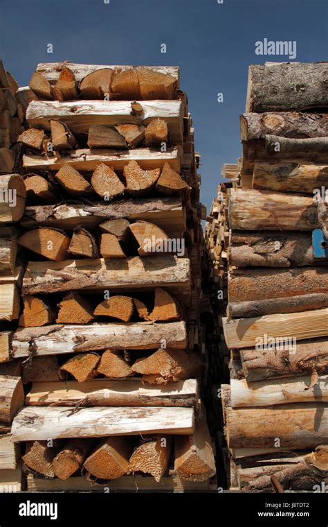 Wood Stack Raw Material Stacked Firewood Stratified Tree Wood