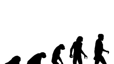 We did not find results for: Scientists identify four stages of evolution in the human body