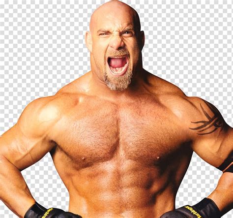 Bill Goldberg WWE SmackDown Royal Rumble (2003) WrestleMania SummerSlam