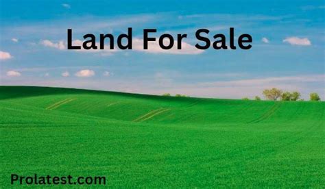 The Process Of Buying Land In Kenya In 2024