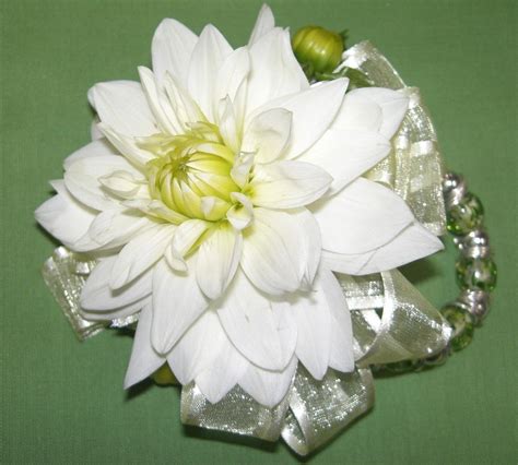 White Dahlia Wrist Corsage With Images Wrist Corsage